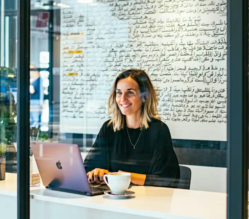 For Professional Translators